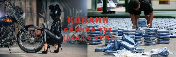 герыч Вязьма