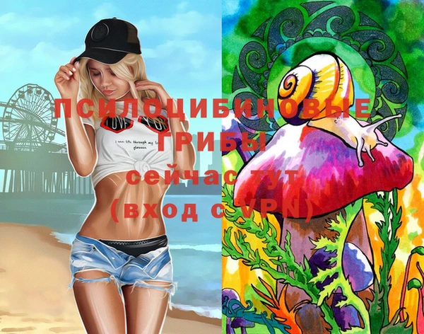 герыч Вязьма