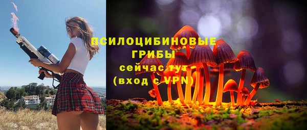 герыч Вязьма